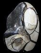 Polished Septarian Geode Sculpture - Black Crystals #37134-2